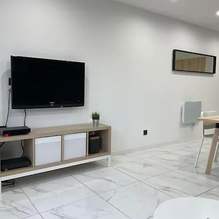 Superbe T4 Spacieux Et Lumineux Iut-hopital-stade Apartmán