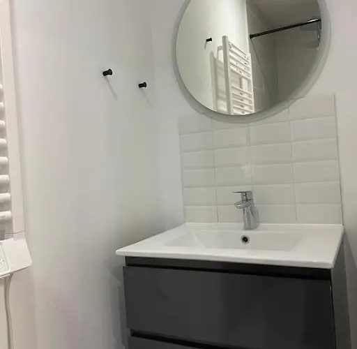 Superbe T4 Spacieux Et Lumineux Iut-hopital-stade