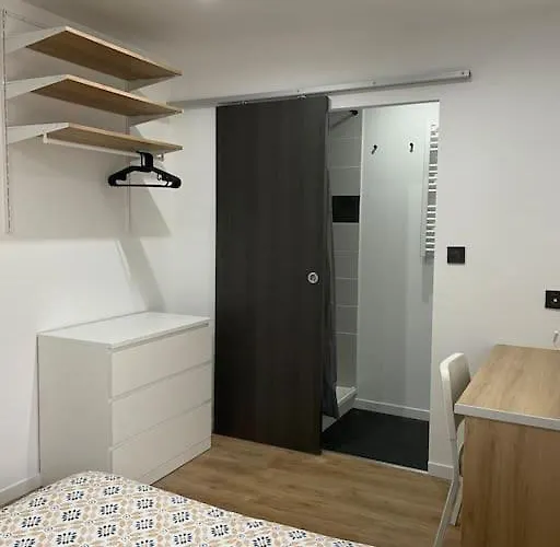 Superbe T4 Spacieux Et Lumineux Iut-hopital-stade לנס