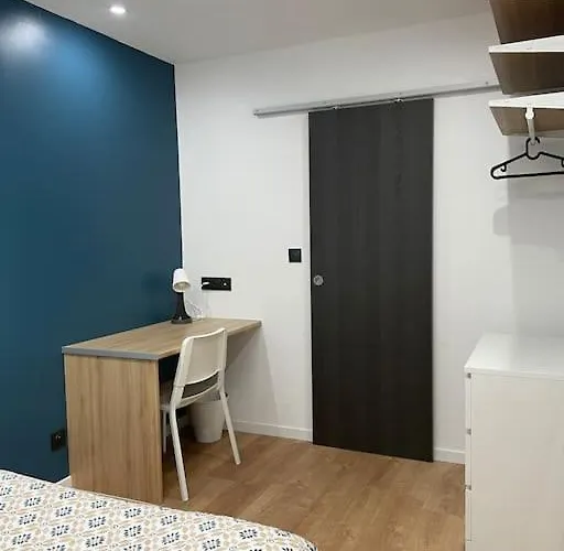 Superbe T4 Spacieux Et Lumineux Iut-hopital-stade דירה