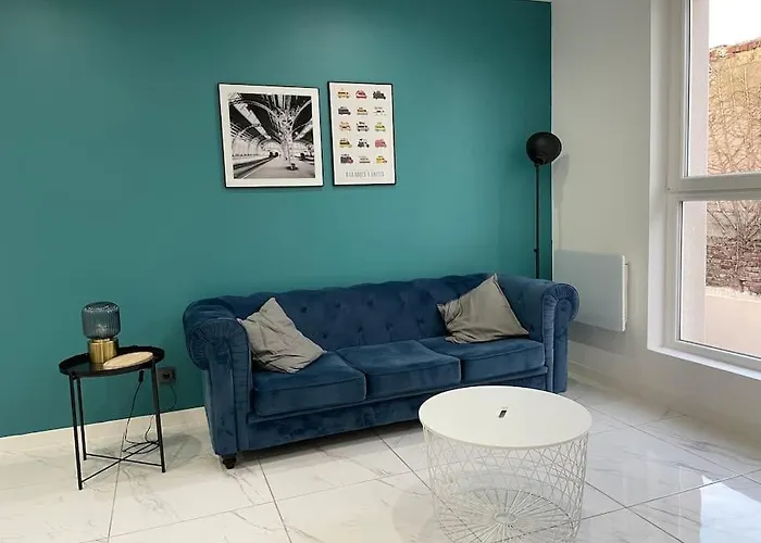 דירה Superbe T4 Spacieux Et Lumineux Iut-hopital-stade *